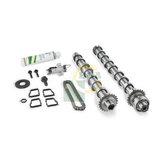 Jeu d'arbres à came BGA OEM 9823920080