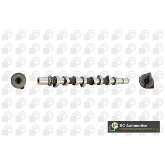 Arbre à came BGA OEM 8200089894 Arbre à came BGA OEM 8200089894