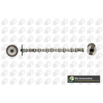 Arbre à came BGA CS3600