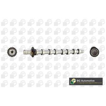 Arbre à came BGA CS5531 pour TOYOTA CAMRY 1.6 D - 110cv