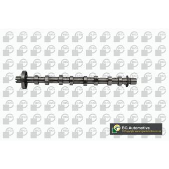Arbre à came BGA OEM 1302006289R