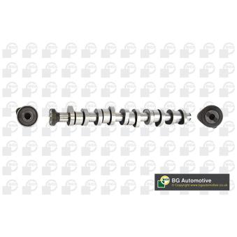 Arbre à came BGA OEM 070109101Q