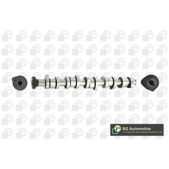 Arbre à came BGA OEM 070109101P
