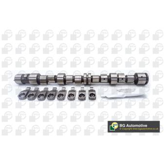 Jeu d'arbres à came BGA [CS9739K]