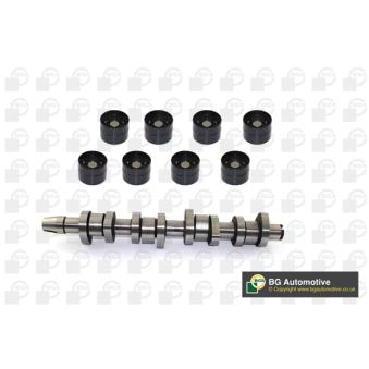 Jeu d'arbres à came BGA [CS9901K]