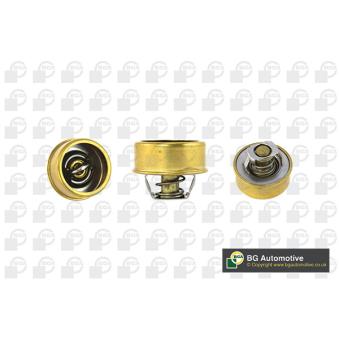 Thermostat, liquide de refroidissement BGA [CT5525]