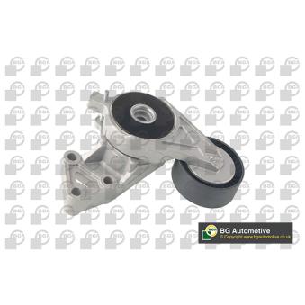 Tendeur, courroie trapézoïdale à nervures BGA OEM YM216K254AA