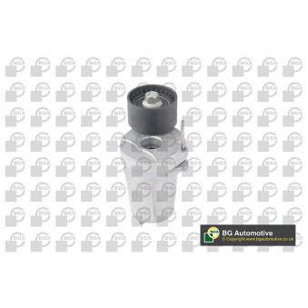 Tendeur, courroie trapézoïdale à nervures BGA OEM 11287800333