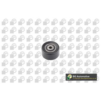 Poulie renvoi/transmission, courroie trapézoïdale à nervures BGA DC1408