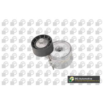 Tendeur, courroie trapézoïdale à nervures BGA OEM 1613840080