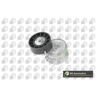 Tendeur, courroie trapézoïdale à nervures BGA OEM 1253954