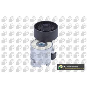 Tendeur, courroie trapézoïdale à nervures BGA OEM 504086751