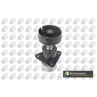 Poulie roue libre, alternateur BGA OEM 5M5Q10D310AB