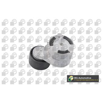 Tendeur, courroie trapézoïdale à nervures BGA OEM 2S616A228AG