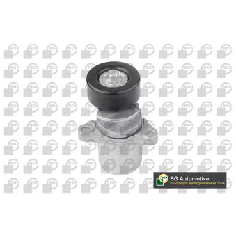 Tendeur, courroie trapézoïdale à nervures BGA OEM 2528127400