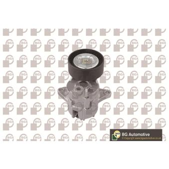 Tendeur, courroie trapézoïdale à nervures BGA OEM 6112000370