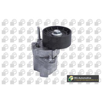 Tendeur, courroie trapézoïdale à nervures BGA OEM 1192500QAA