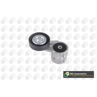 Tendeur, courroie trapézoïdale à nervures BGA OEM 1152038