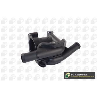 Bride de liquide de refroidissement BGA OEM 1001993