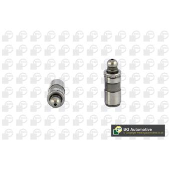 Poussoirs hydrauliques BGA [HL5393]