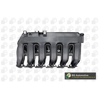 Module de tube d'admission BGA OEM 11617800585