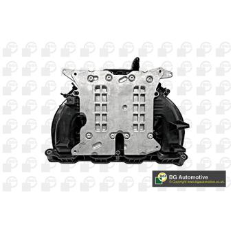 Module de tube d'admission BGA MG09028