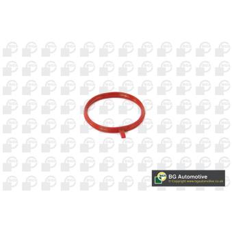 Joint d'étanchéité, collecteur d'admission BGA [MG3718]
