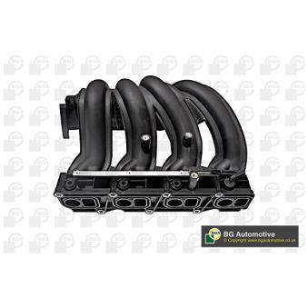 Module de tube d'admission BGA OEM 6110902337