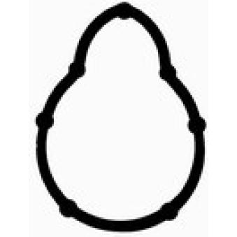 Joint d'étanchéité, collecteur d'admission BGA OEM 6001543520