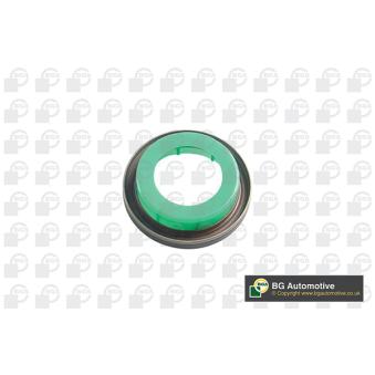 Bague d'étanchéité, vilebrequin BGA OS9309