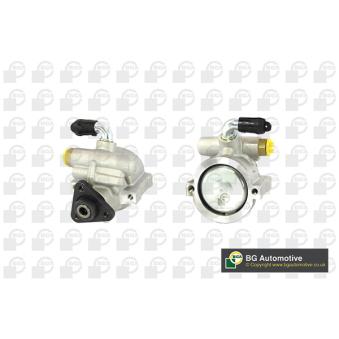 Pompe hydraulique, direction BGA OEM 46473841 Pompe hydraulique, direction BGA OEM 46473841