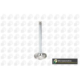 Soupape d'admission BGA OEM 7301820