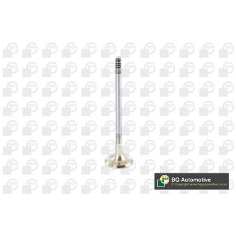 Soupape d'émission BGA [V090101]