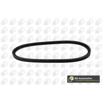 Courroie trapézoïdale BGA OEM 71734715