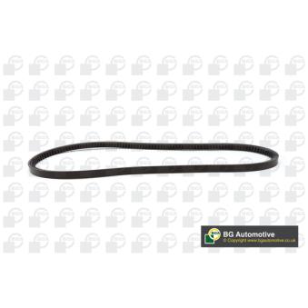 Courroie trapézoïdale BGA OEM 7763320