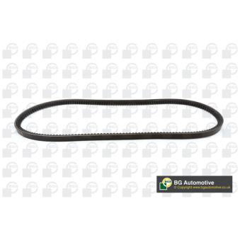 Courroie trapézoïdale BGA OEM 1119276