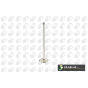 Soupape d'émission BGA [V969602]