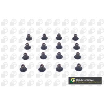 Jeu de joints d'étanchéité, tige de soupape BGA VK1379