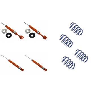 Ensemble de suspension KONI 1120-7731