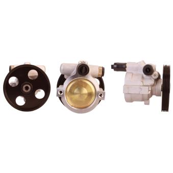 Pompe hydraulique, direction ELSTOCK OEM 491100219R Pompe hydraulique, direction ELSTOCK OEM 491100219R