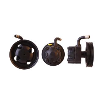 Pompe hydraulique, direction ELSTOCK OEM 4910067J00 Pompe hydraulique, direction ELSTOCK OEM 4910067J00