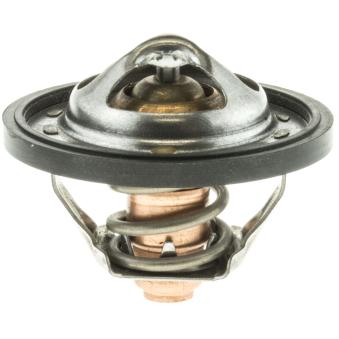 Thermostat d'eau MOTORAD OEM 1767066D00