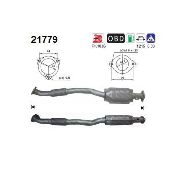 Catalyseur AS [21779]