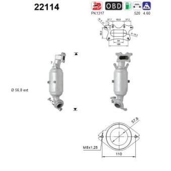 Catalyseur AS 22114
