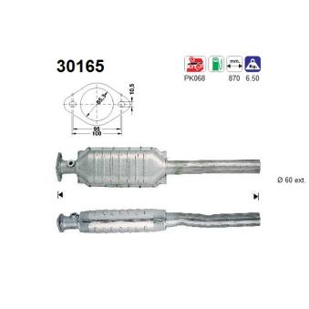 Catalyseur AS [30165]
