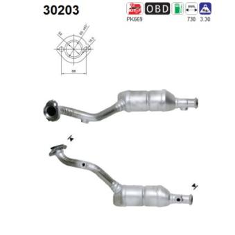 Catalyseur AS [30203]