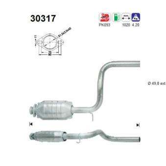 Catalyseur AS [30317]