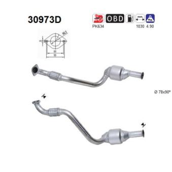 Catalyseur AS [30973D]