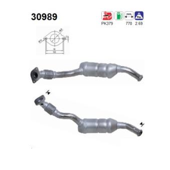 Catalyseur AS 30989