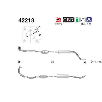 Catalyseur AS 42218